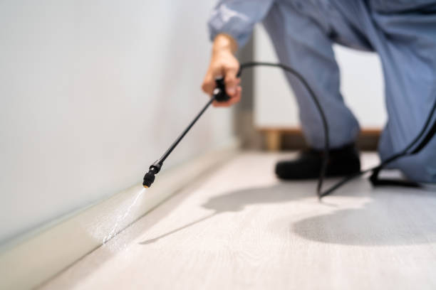 Licensed Pest Control service in Kingsville, TX - Show Me Pest Control