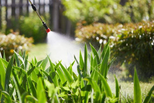 Tamper-Resistant Bait Stations for Rodents in Kingsville