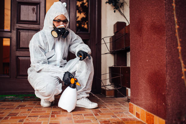 Attic and Crawl Space Rodent Treatment in Kingsville